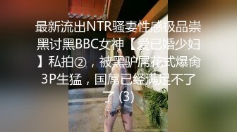 网调母狗小合集2