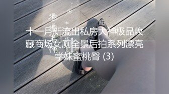 十一月新流出私房大神极品收藏商场女厕全景后拍系列漂亮学妹蜜桃臀 (3)