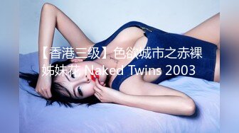 【香港三级】色欲城市之赤裸姊妹花 Naked Twins 2003