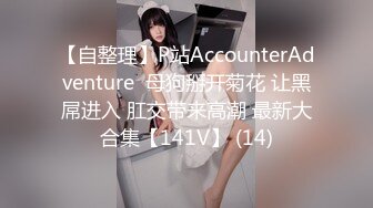 【自整理】P站AccounterAdventure  母狗掰开菊花 让黑屌进入 肛交带来高潮 最新大合集【141V】 (14)