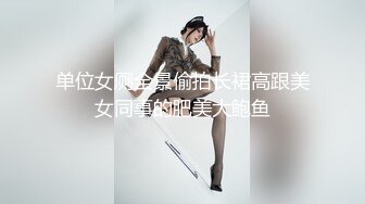 夜总会女厕偷拍 坐台小姐的小肥鲍