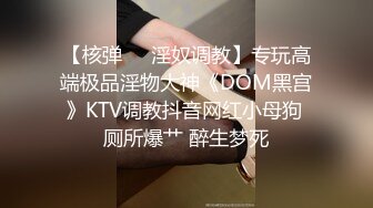 【核弹❤️淫奴调教】专玩高端极品淫物大神《DOM黑宫》KTV调教抖音网红小母狗 厕所爆艹 醉生梦死