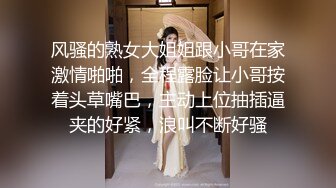 【新片速遞】 字母圈顶级调教大神【DOM黑宫】✅束缚捆绑调教精奴，塞着肛塞被操，乳夹都被操掉了！这就是别人眼中的女神[3.36G/MP4/23:43]