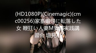 (HD1080P)(Cinemagic)(cmc00256)家畜娼婦に転落した女 鞭狂い人妻M覚醒実践講習会 塩見彩