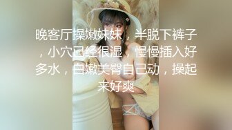 [2DF2]《玩遍大学生外围女》山东小胖买了新设备情趣酒店偷拍约炮颜值不错的学生兼职妹 - soav_evMerge [BT种子]