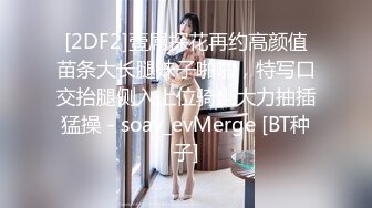 小哥探花约了个大长腿豹纹短裙妹子 沙发调情口交后入骑乘大力猛操