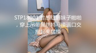 STP18001 性感红唇妹子啪啪，穿上吊带黑丝特写摸逼口交抱起来猛操