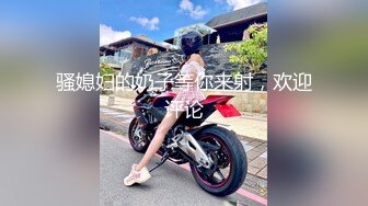 大神【丰田哥】玩肏女神级小姐姐，车震足交口活吞精，听话乖巧非常骚母狗