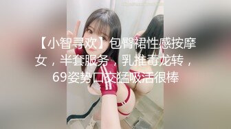 【小智寻欢】包臀裙性感按摩女，半套服务，乳推毒龙转，69姿势口交猛吸活很棒