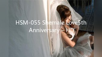 HSM-055 Shemale Love5th Anniversary – HD