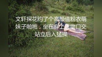 双马尾萝莉「迷人玩具」DominateMQ被主人调教得很乖1