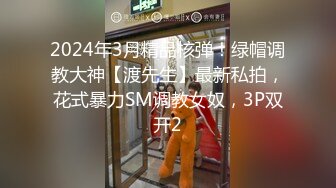 我和小母狗的”日”常之双通