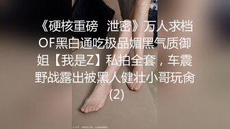 《硬核重磅✅泄密》万人求档OF黑白通吃极品媚黑气质御姐【我是Z】私拍全套，车震野战露出被黑人健壮小哥玩肏 (2)