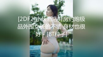 淑女轻少妇