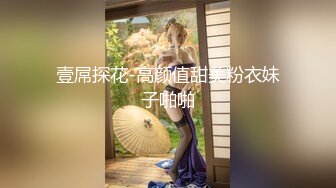 阁楼偷情黑丝女同事爽到淫语不断~