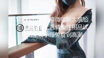 4/13最新 新作私密流出杨思敏版美乳熟女偷吃日记VIP1196