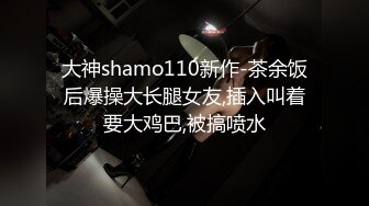 大神shamo110新作-茶余饭后爆操大长腿女友,插入叫着要大鸡巴,被搞喷水