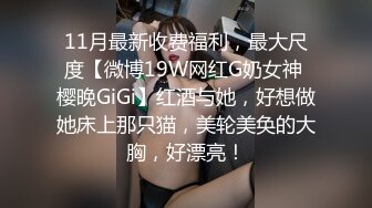 【秦峯采花】,酒店嫖妓偷拍兼职良家小少妇，丰乳翘臀，新人角度专业，做爱全程美景一览无余