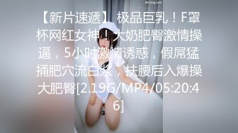 【无码破解】最强肉体神之乳 『宇都宫紫苑』美乳双峰内衣模特SNIS-692