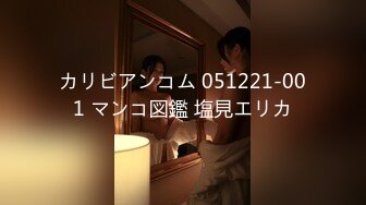 カリビアンコム 042619-903 女熱大陸 File.072 吉岡蓮美