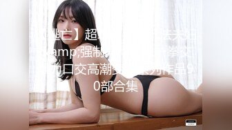 即含即插ＯＫ的绝对领域侍奉女仆