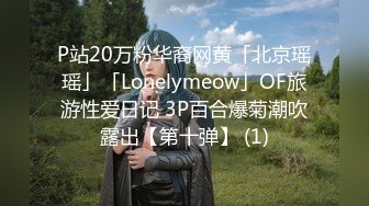 P站20万粉华裔网黄「北京瑶瑶」「Lonelymeow」OF旅游性爱日记 3P百合爆菊潮吹露出【第十弹】 (1)