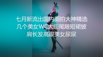 七月新流出国内厕拍大神精选几个美女WC大街尾随短裙披肩长发高跟美女尿尿