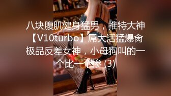 八块腹肌健身猛男，推特大神【V10turbo】屌大活猛爆肏极品反差女神，小母狗叫的一个比一个惨 (3)